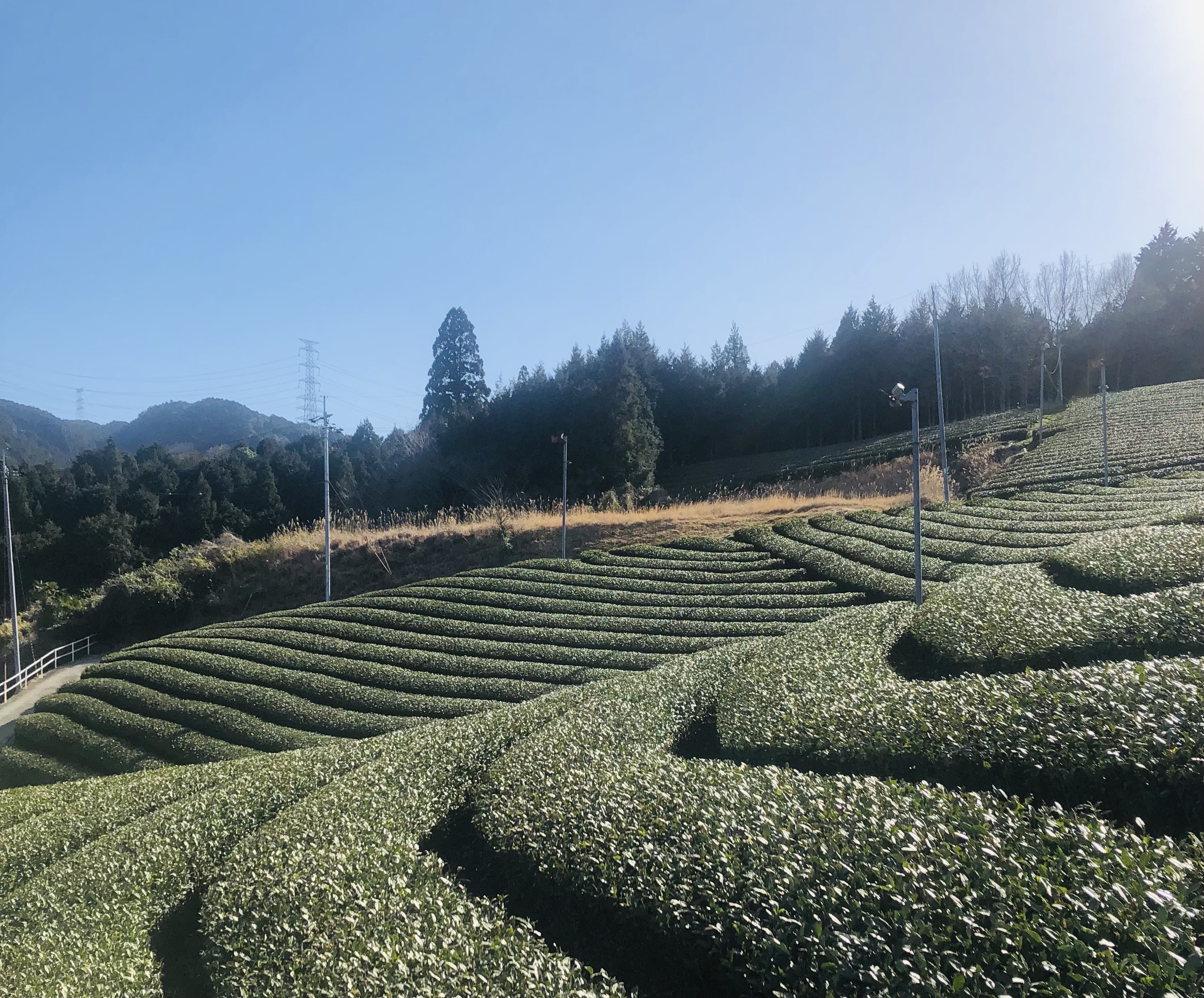 年末年始休業日のご案内