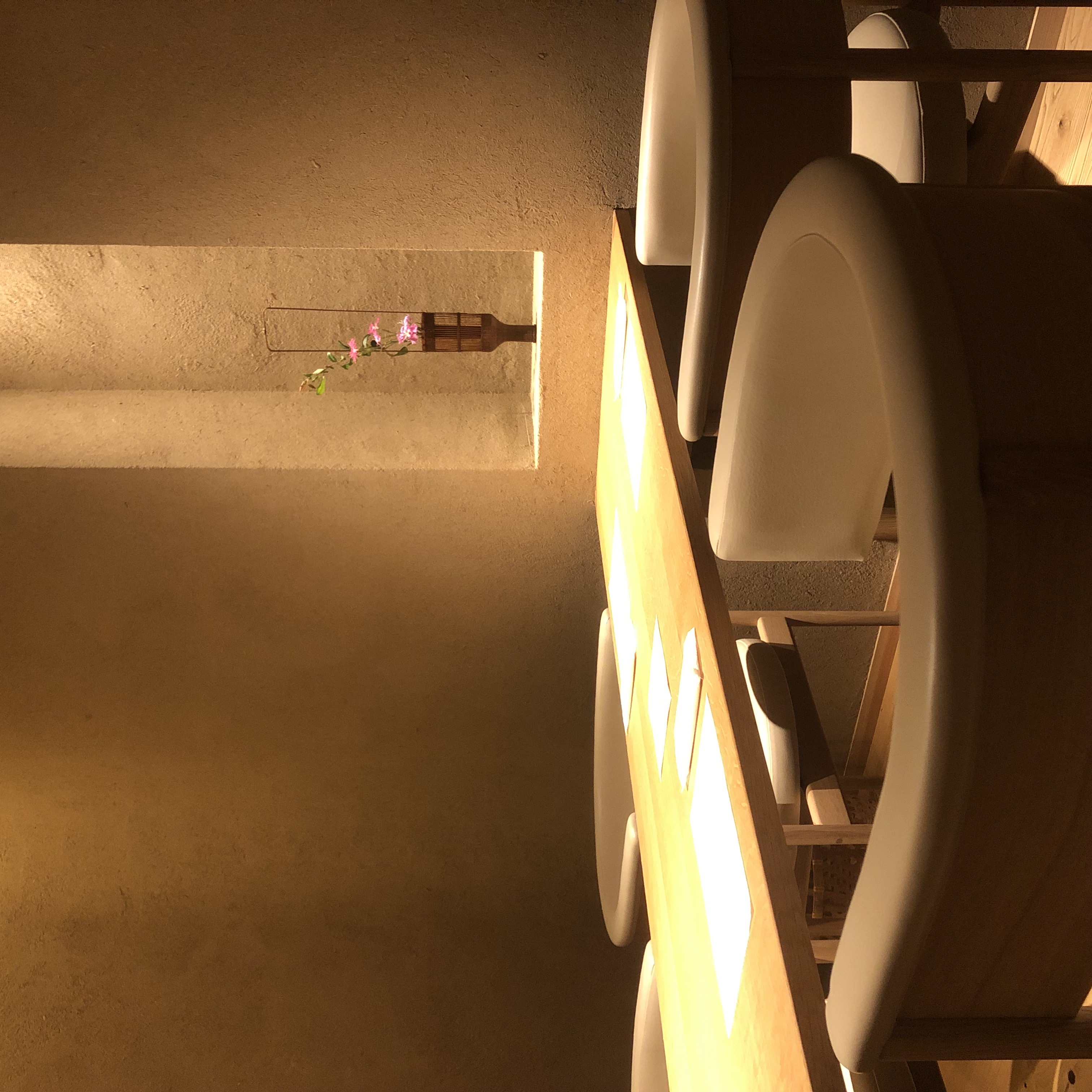 Discover Our Reimagined Tea Experinece 2025 Spring