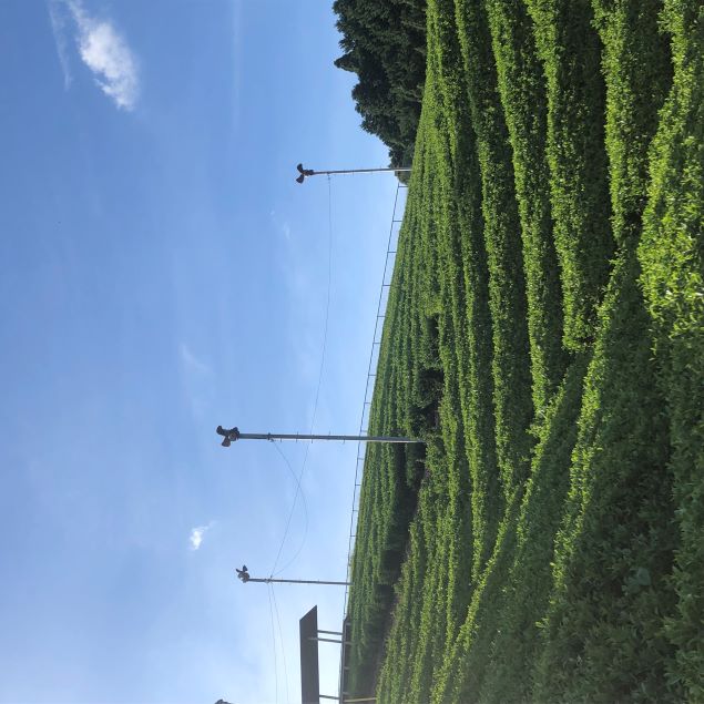 「香りよい　ほうじ茶」販売終了のお知らせ