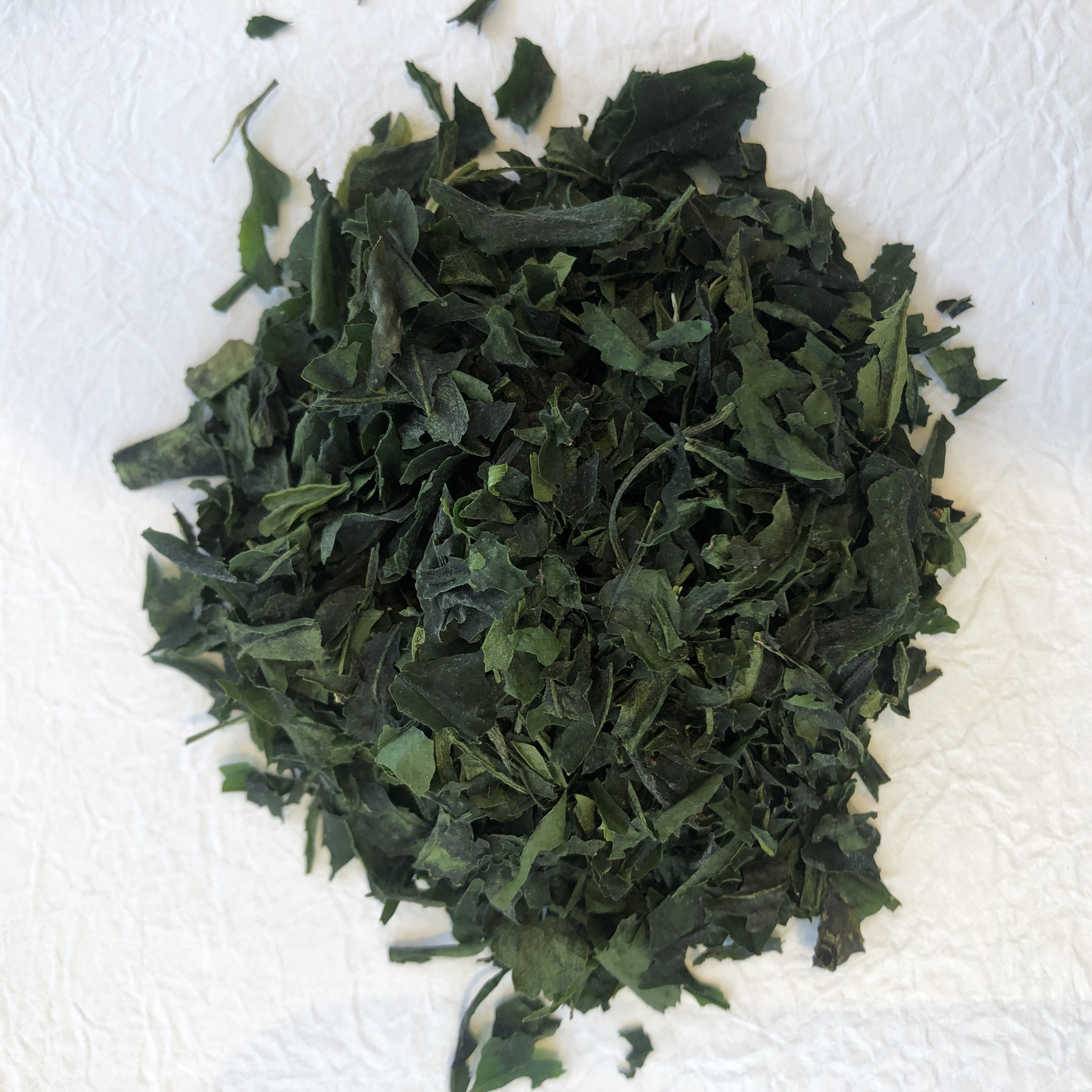 抹茶ができるまで