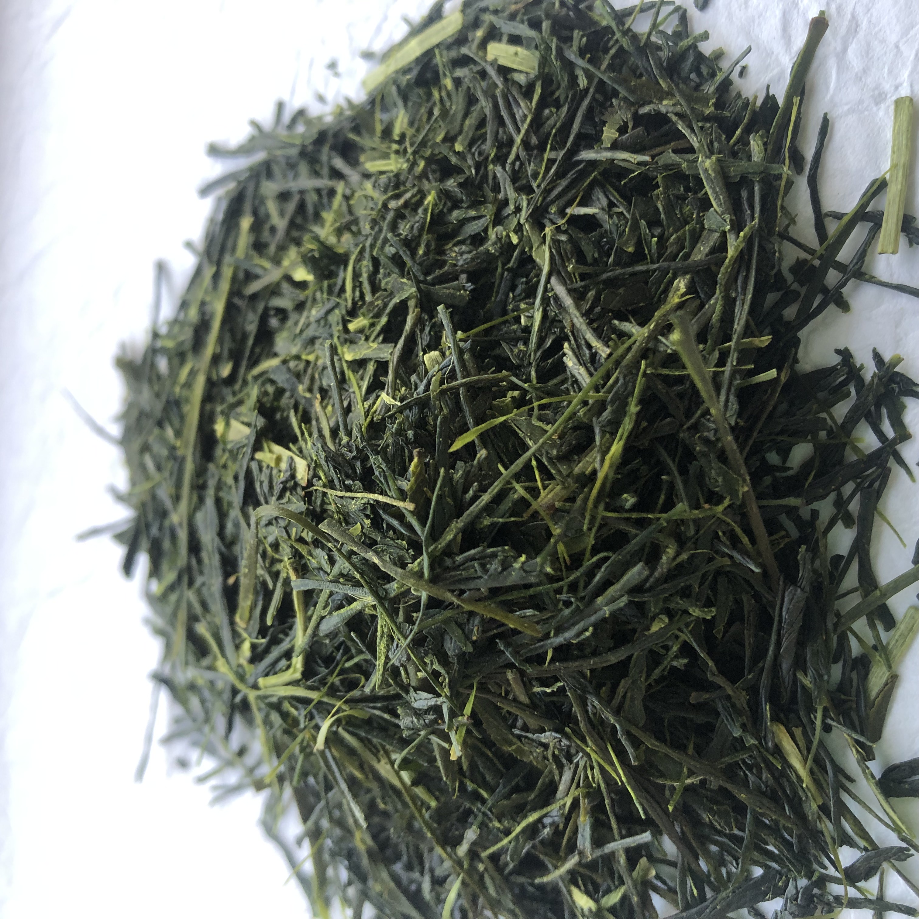 今年の新茶ができました！