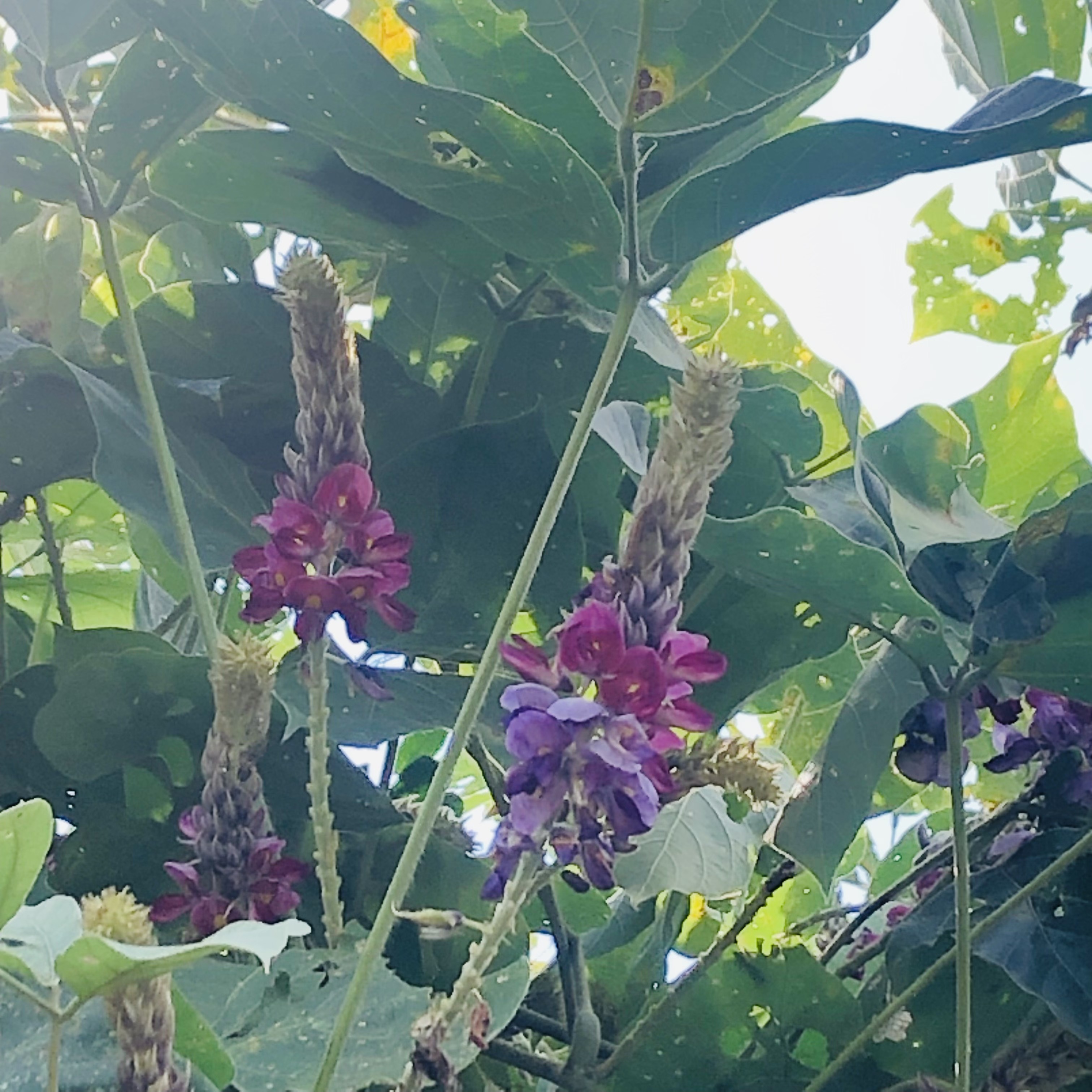 夏と秋の分かれ目