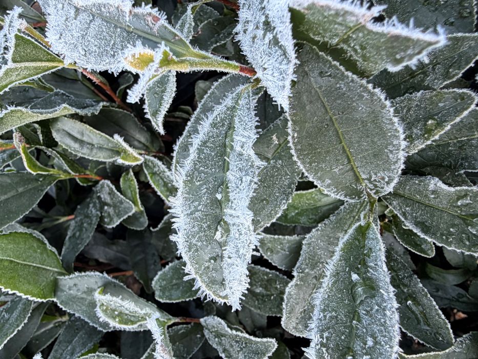 敷地内工事のお知らせ / Renovation Notice