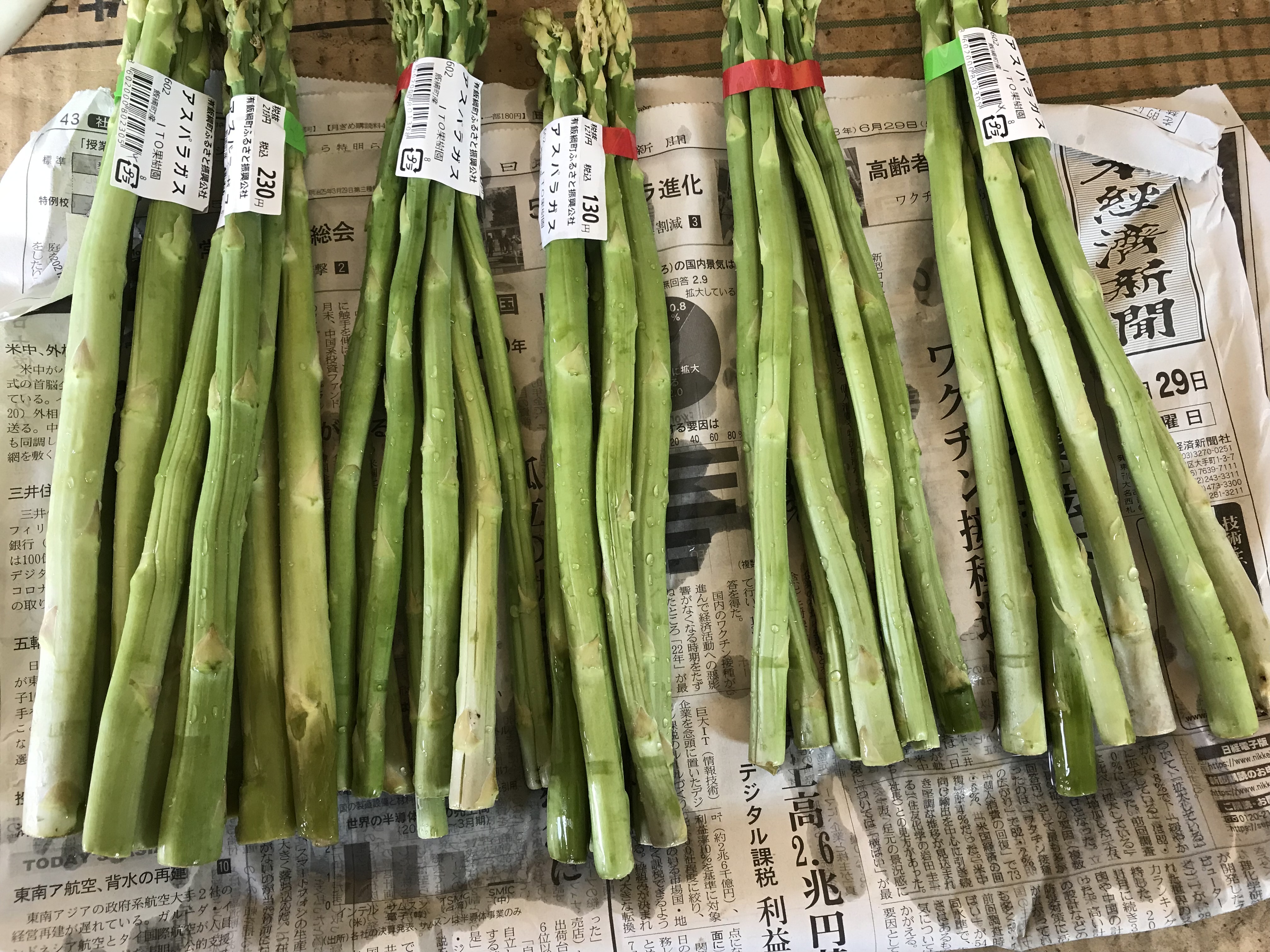 破棄寸前のアスパラが見事に復活しました！