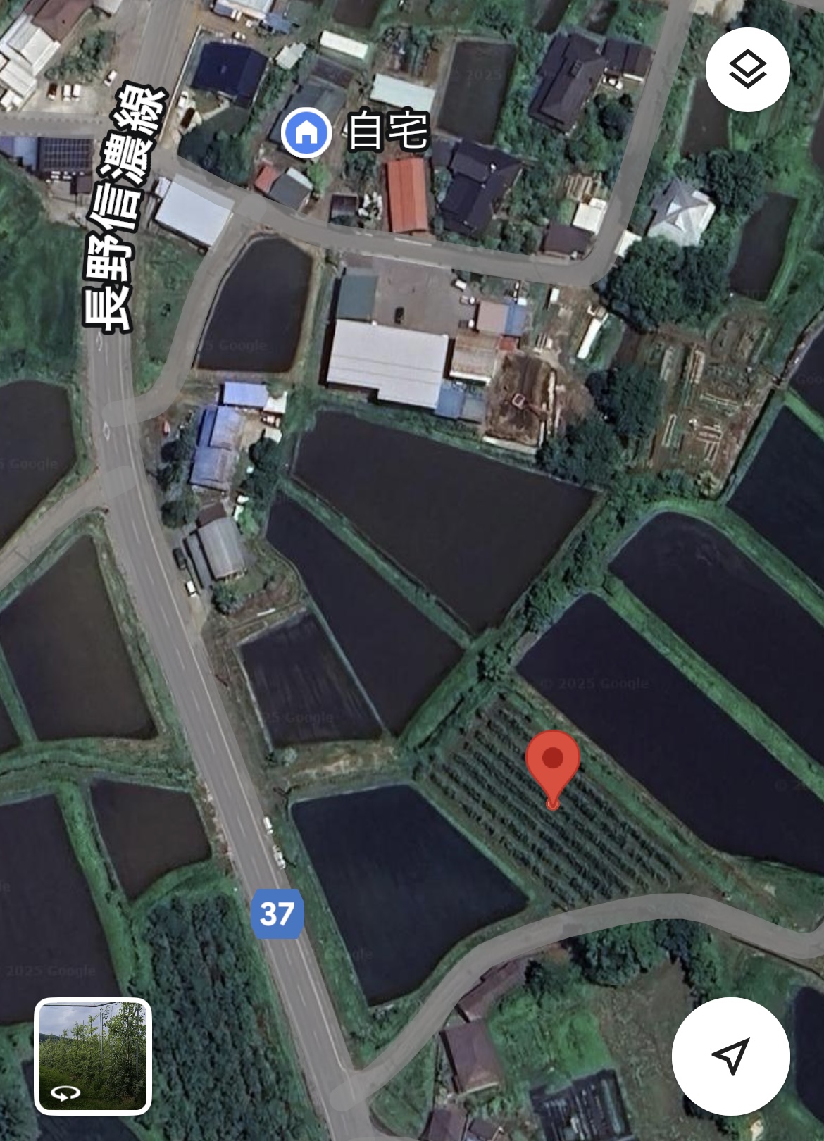 りんごの木オーナー制度圃場のご案内