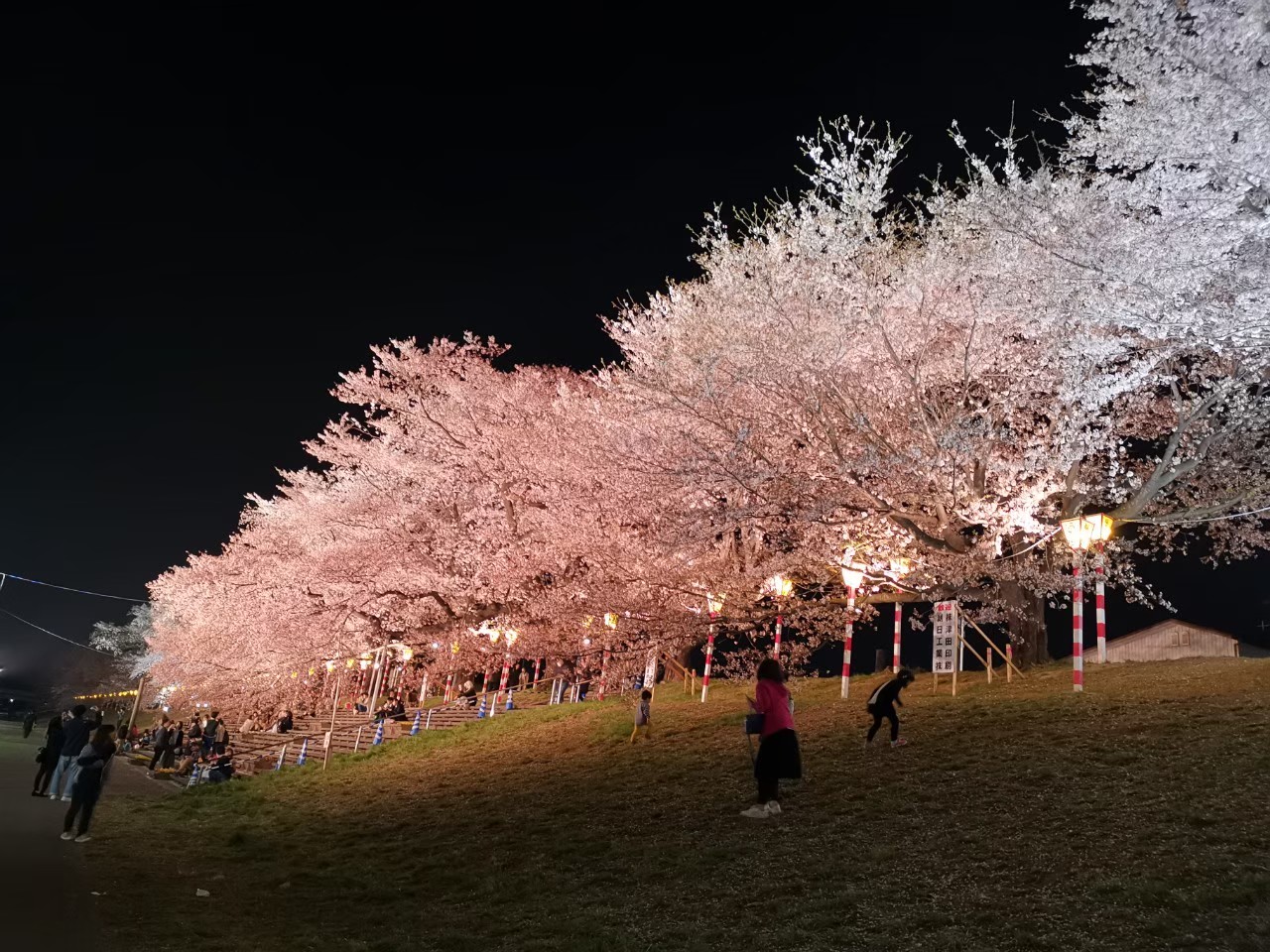 宮城県　大河原町