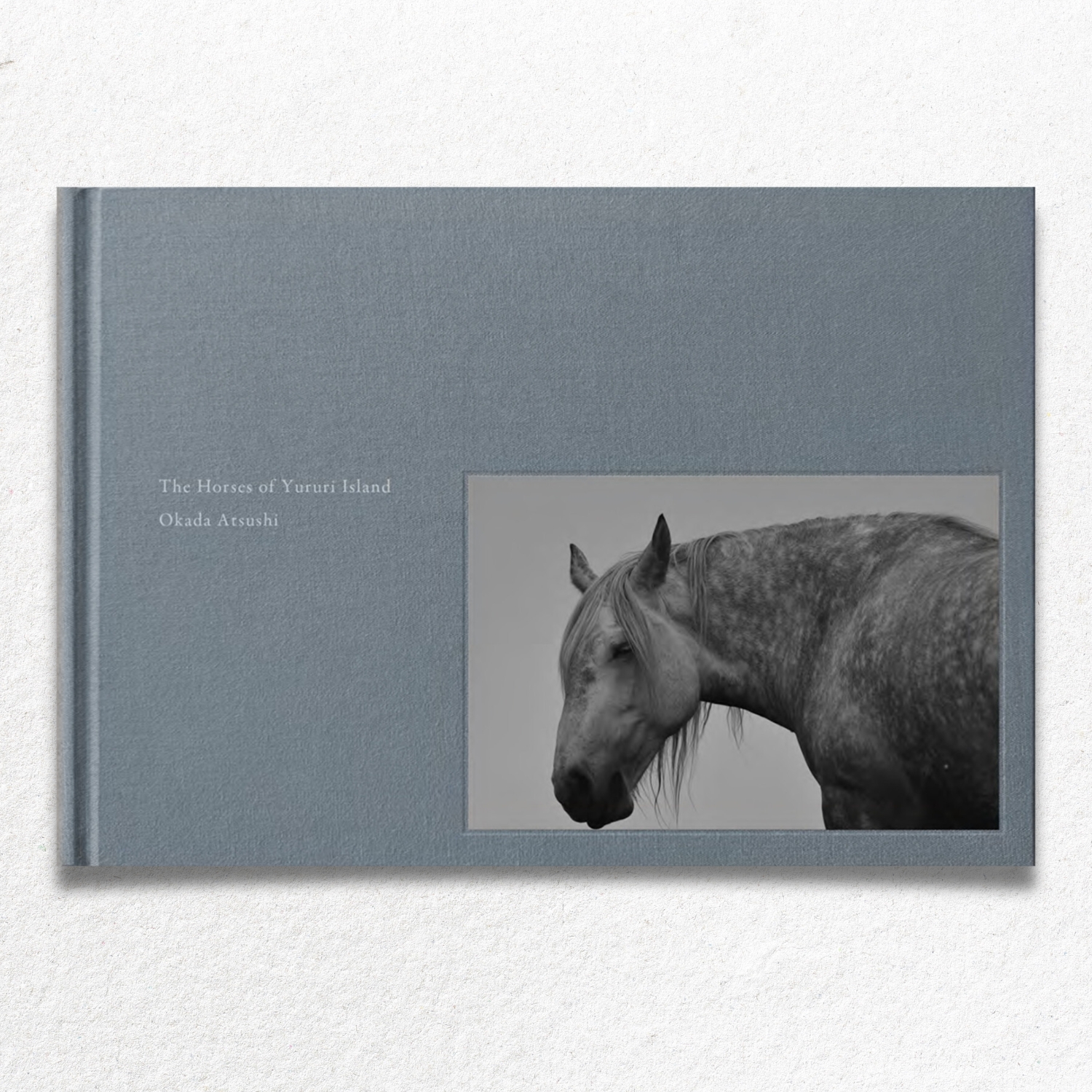 新しい本が入荷しました。