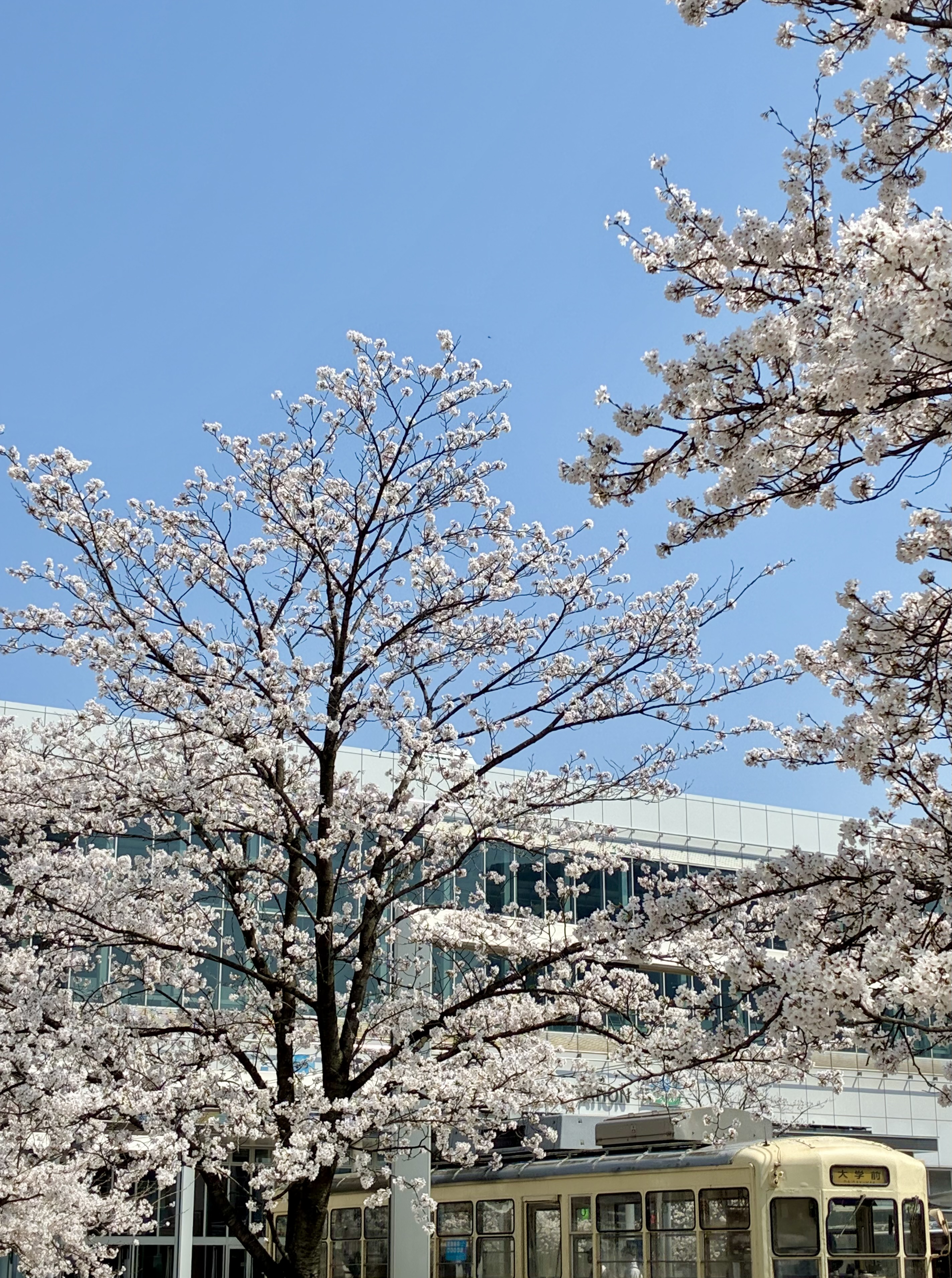 Poet Songs 店主のご紹介