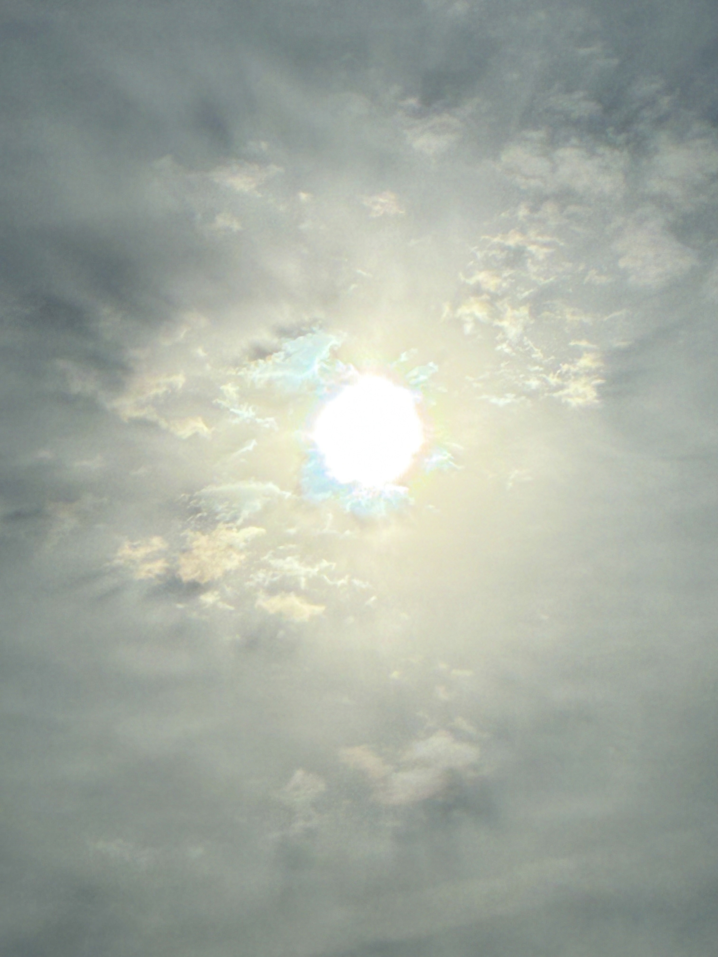 いつもより早く目覚めた朝の日常の記録2026.2.27