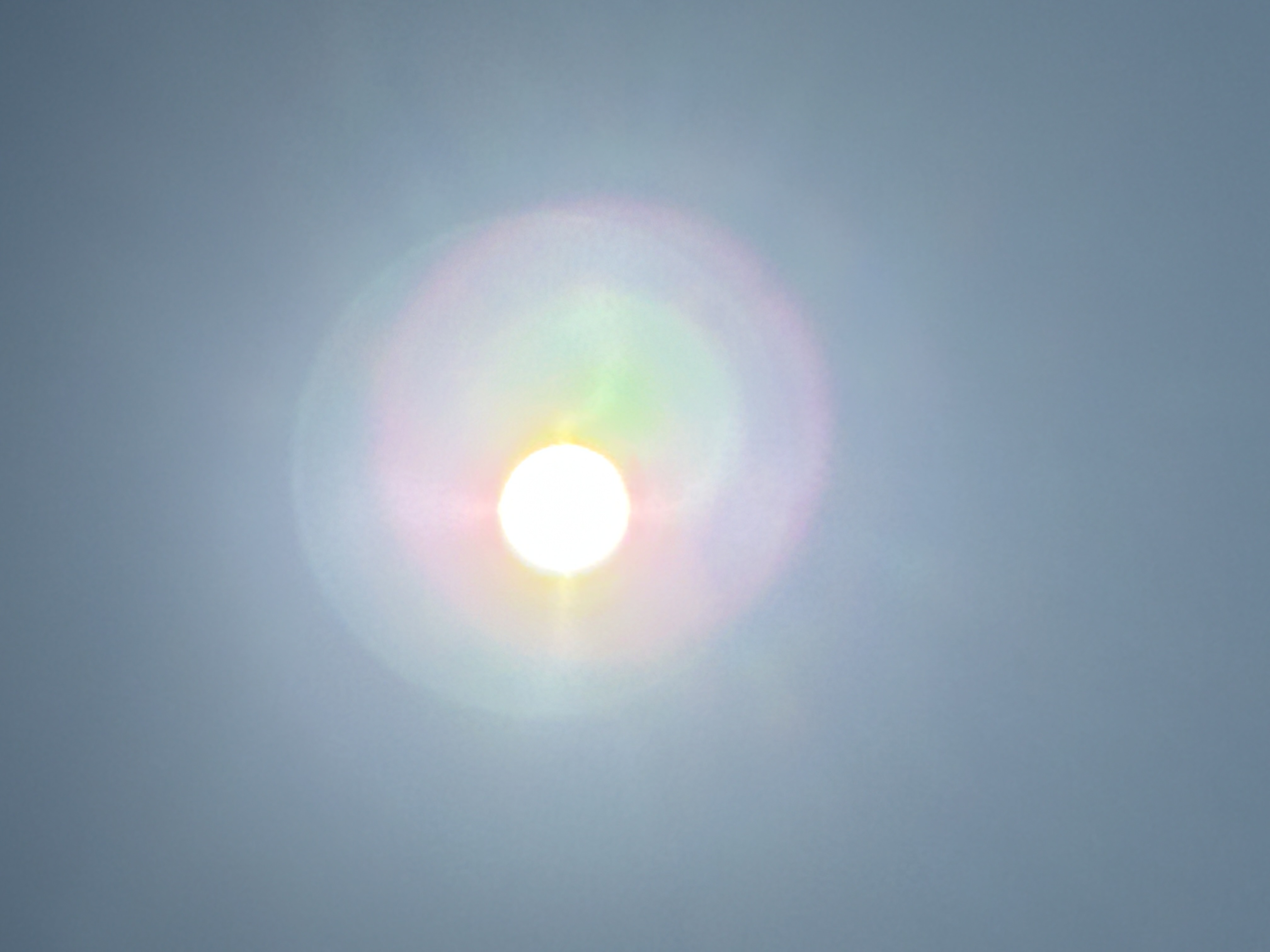 いつもより早く起きた朝の日常の記録 2026.2.20