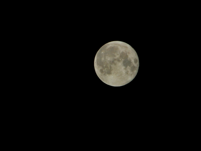 昨夜の満月