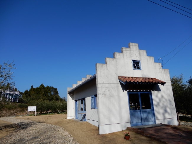 天草の旅＊天草オリーブ園～水仙公園