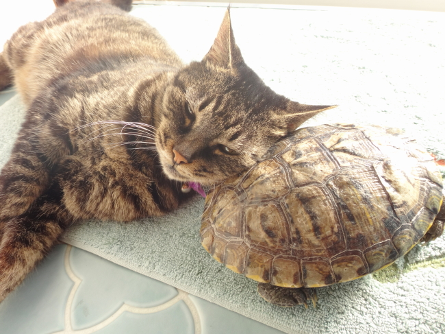 朝のひととき