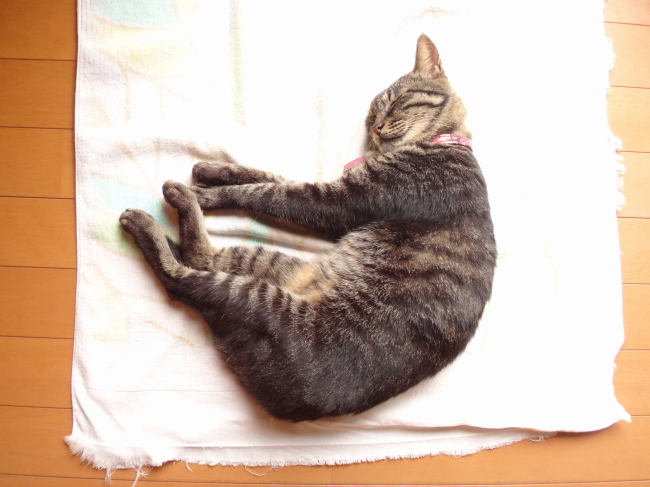 ピンクでした。