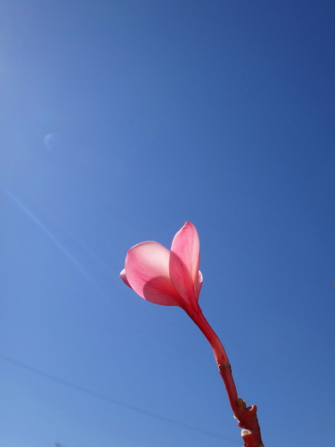 今日も青空