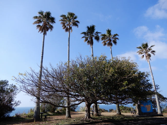 天草の旅＊富岡海中公園～無人島へ
