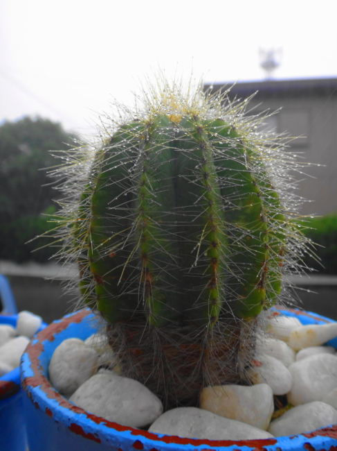 久しぶりの雨☂と本日のお仕事