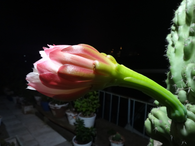 深夜にひっそり