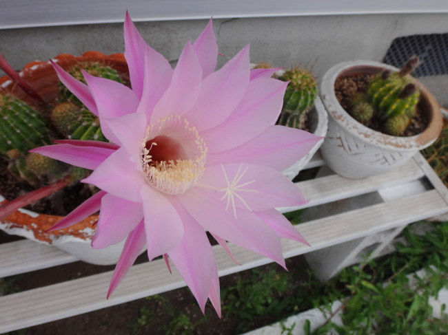 今日もきれいです☆