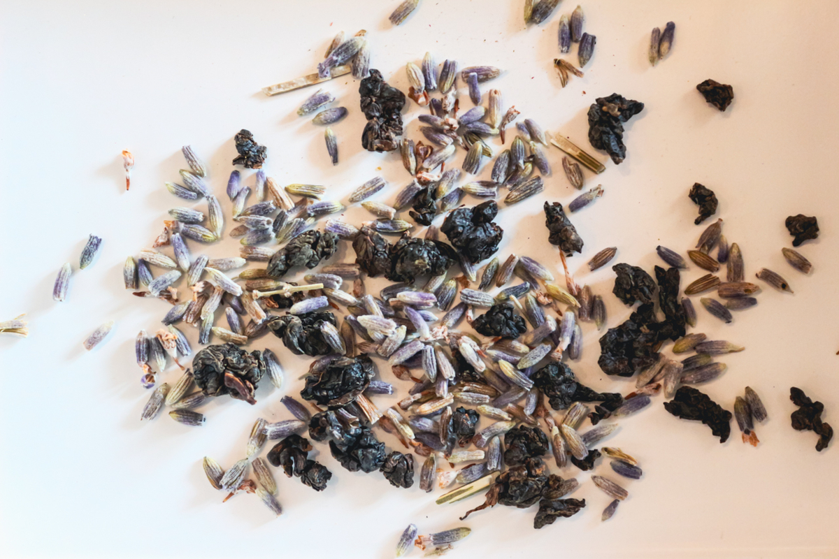 新着商品　ハーブ紅茶