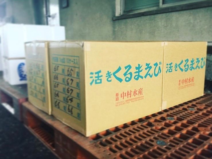 お歳暮に『活き車海老』を選ぶ理由:贈る方も贈られる方も笑顔になる特別な体験