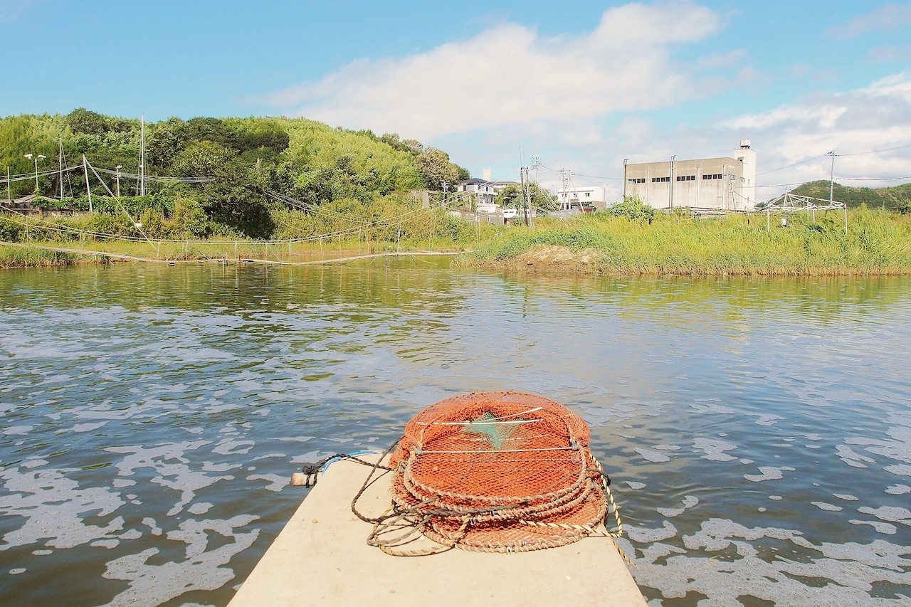 的形村の恵み:鎌倉時代から続く塩田が育んだ、活き車海老の秘密