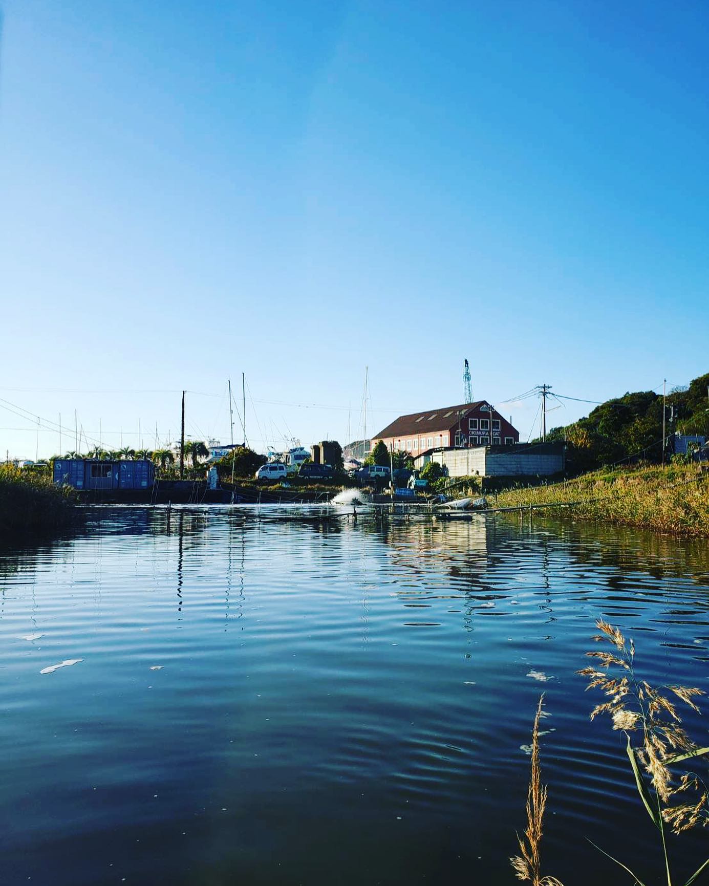 瀬戸内海が育む歴史と恵み：的形村から活き車海老が食卓に届くまで