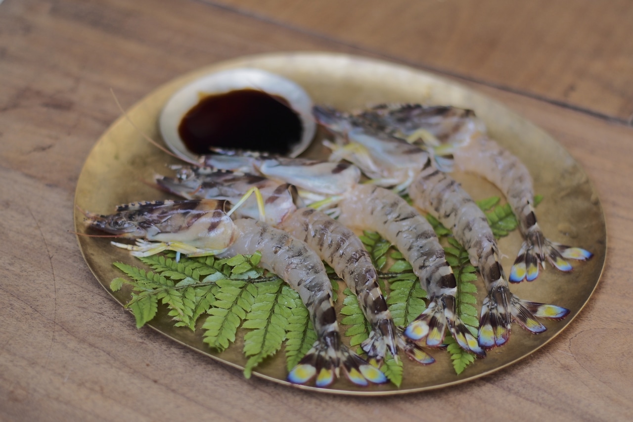 新鮮な活き車海老を楽しむ:おどり食いからおすすめ調理法まで