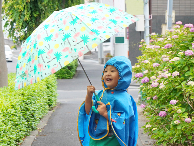 💠 あじさいの色が変わるように、子どもたちも日々成長していく