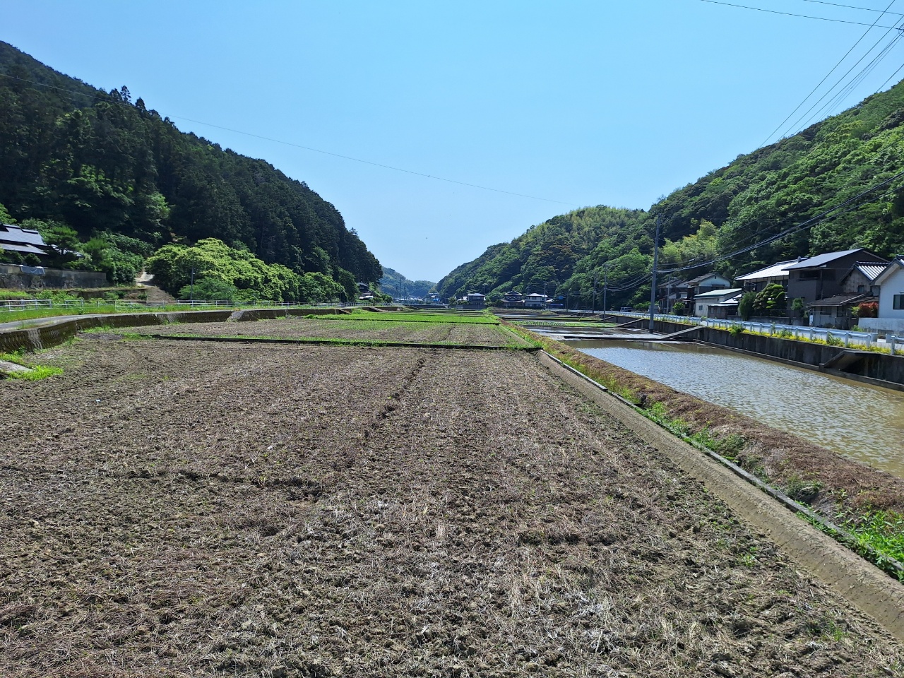 2025.06.03　田植えしてます。