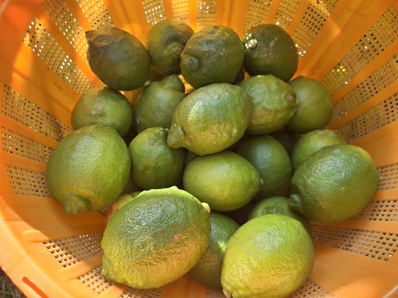 2025.10.02 10月です。