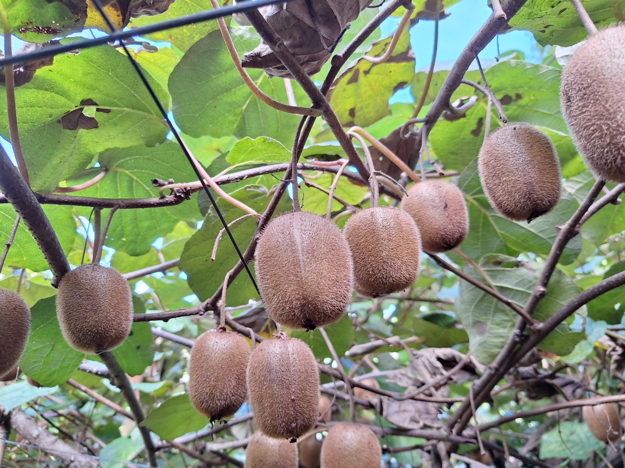 2025.10.03 今日は雨です。