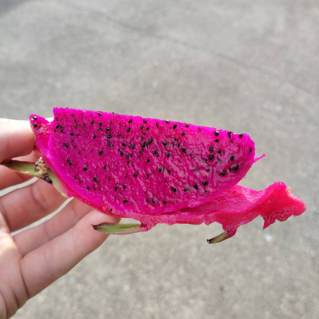 2025.10.28 奄美大島産ドラゴンフルーツ販売しています。