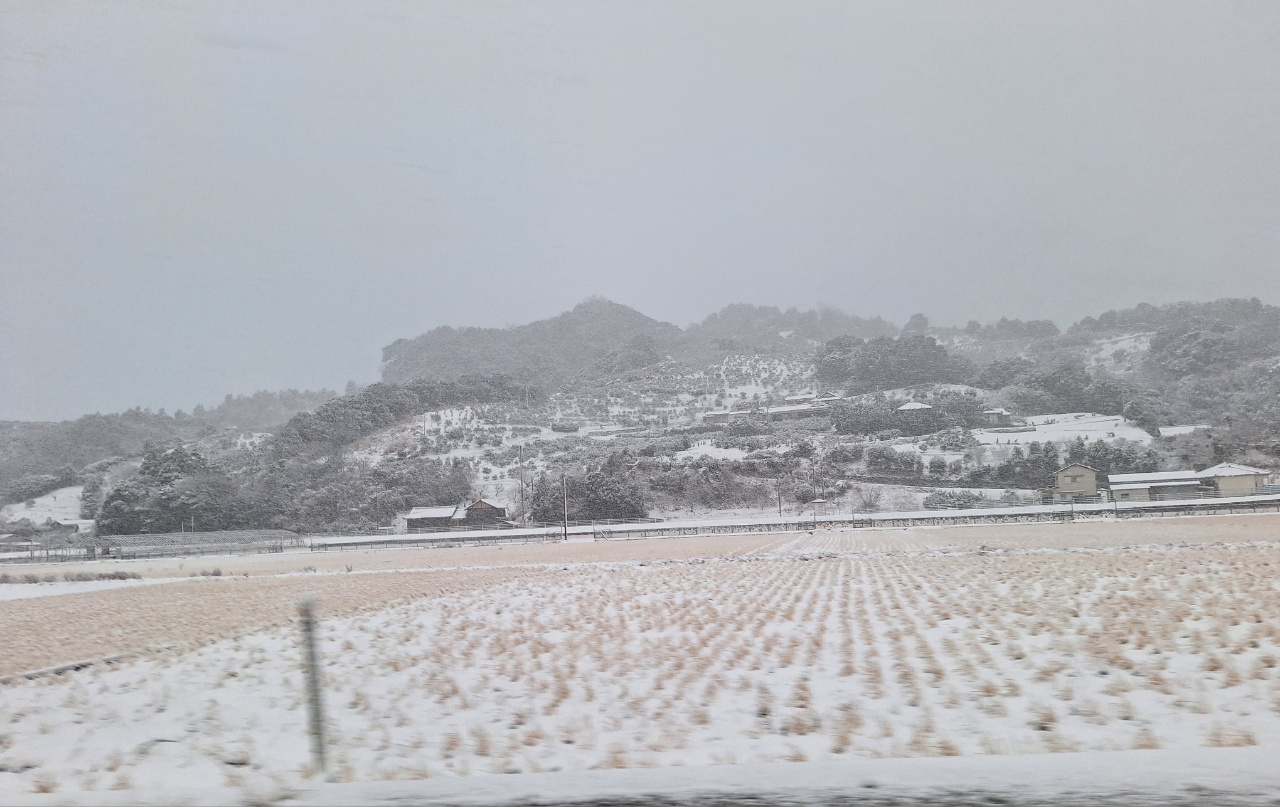 2025.02.06　大雪のため今日も出荷できません。