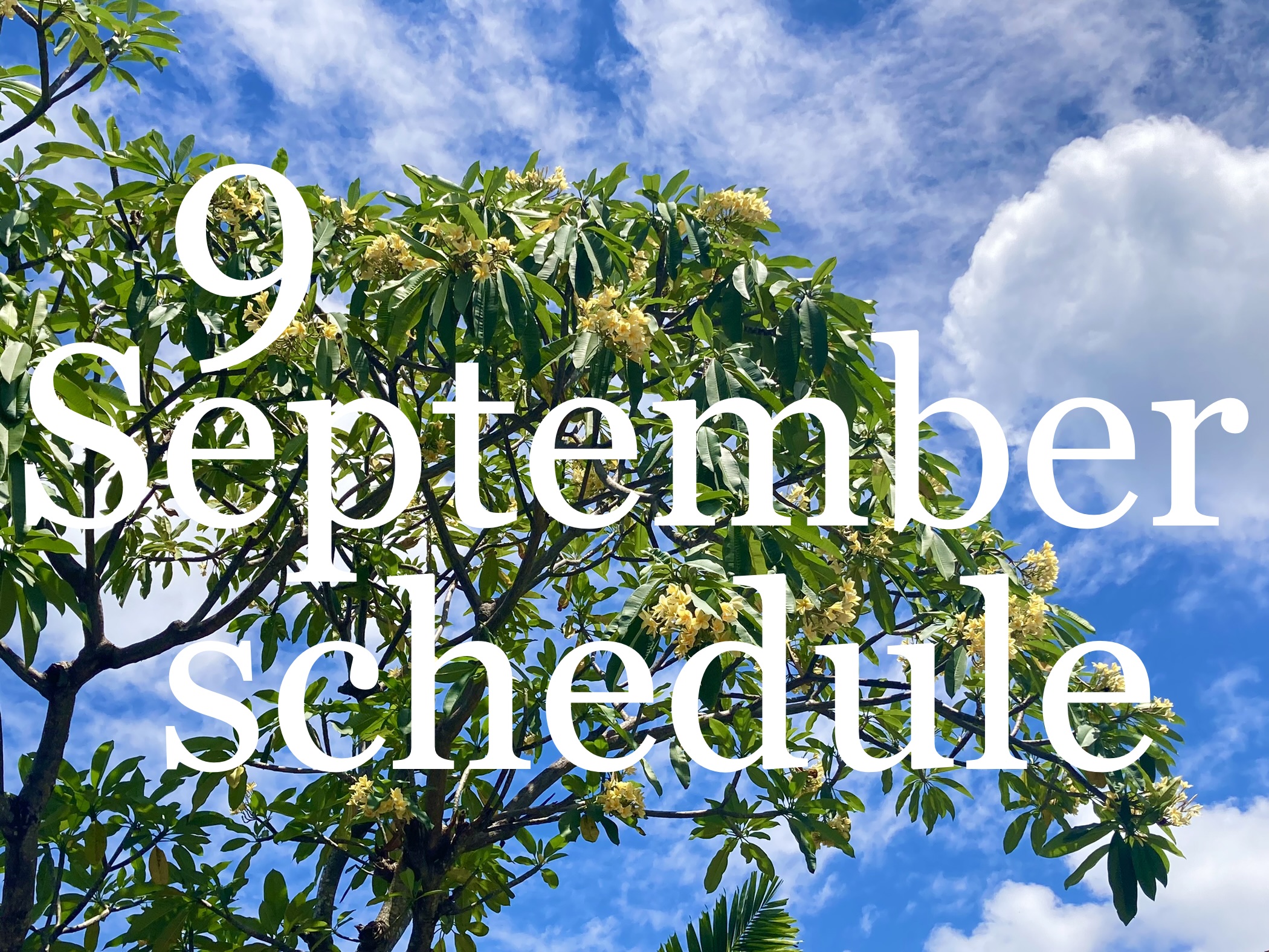 🌼9月イベント出店スケジュールのお知らせです🌼