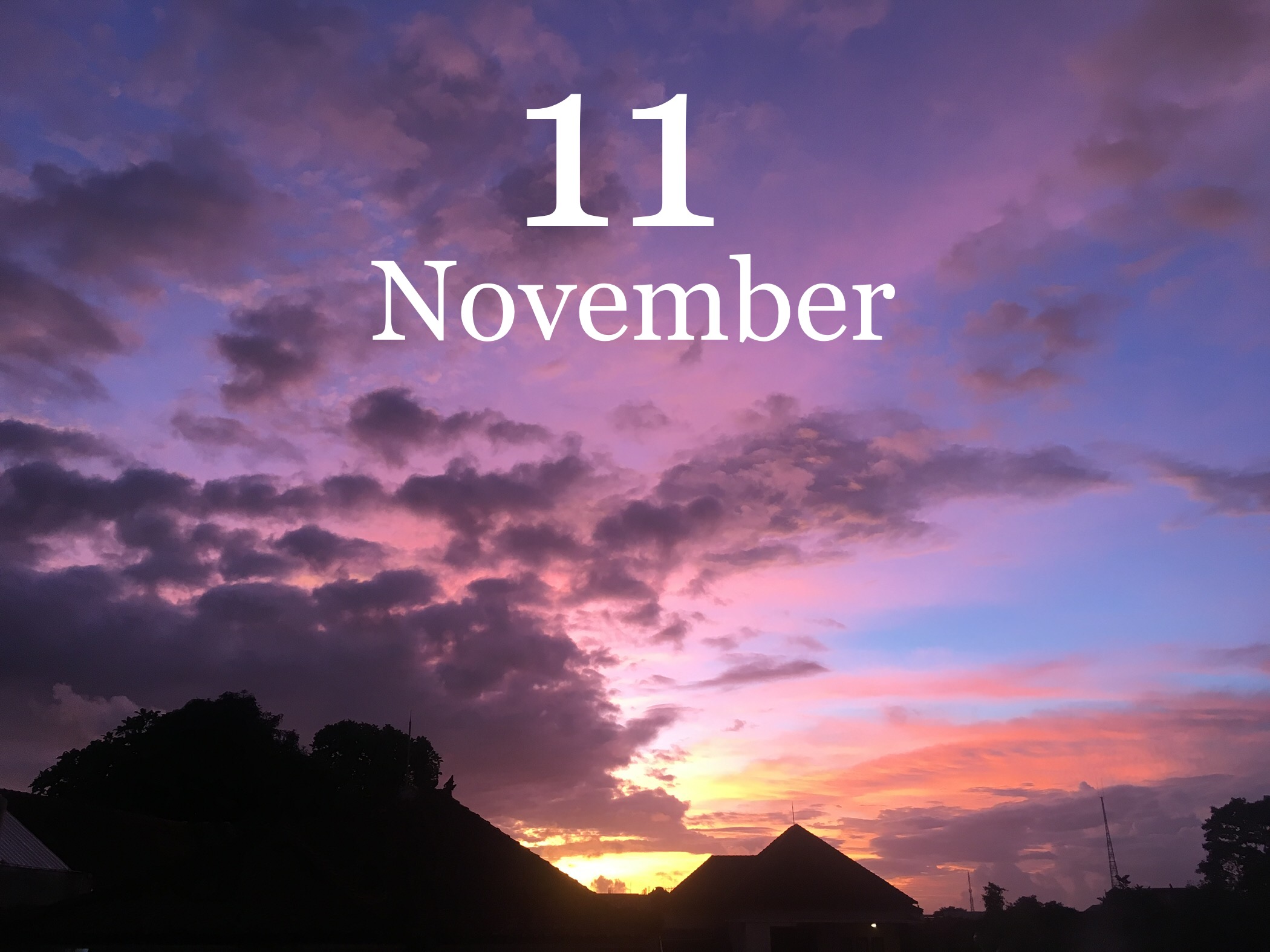 11月出店情報