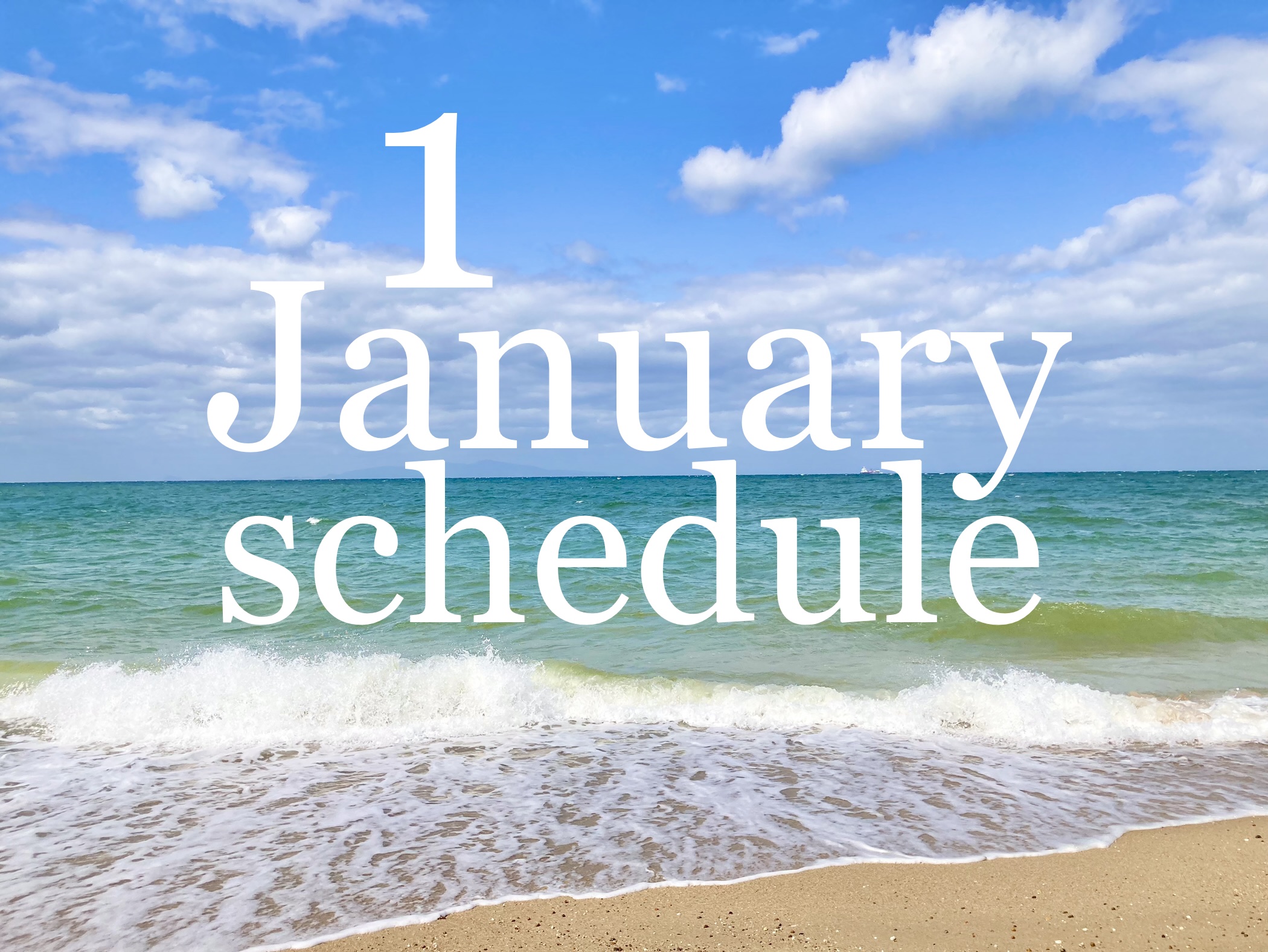 🎍1月出店スケジュールのお知らせです🎍