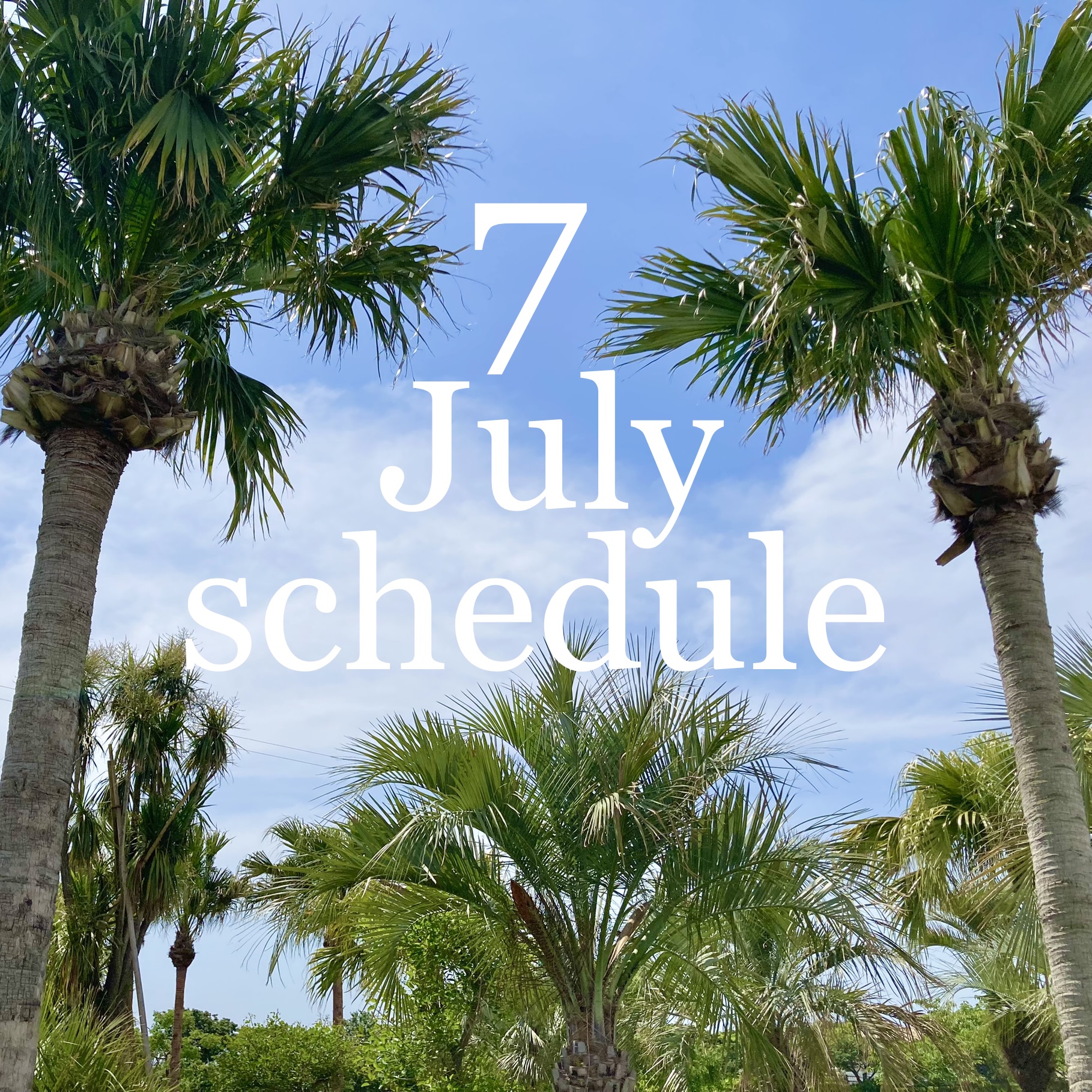 🌞7月イベント出店スケジュールのお知らせ🏝️