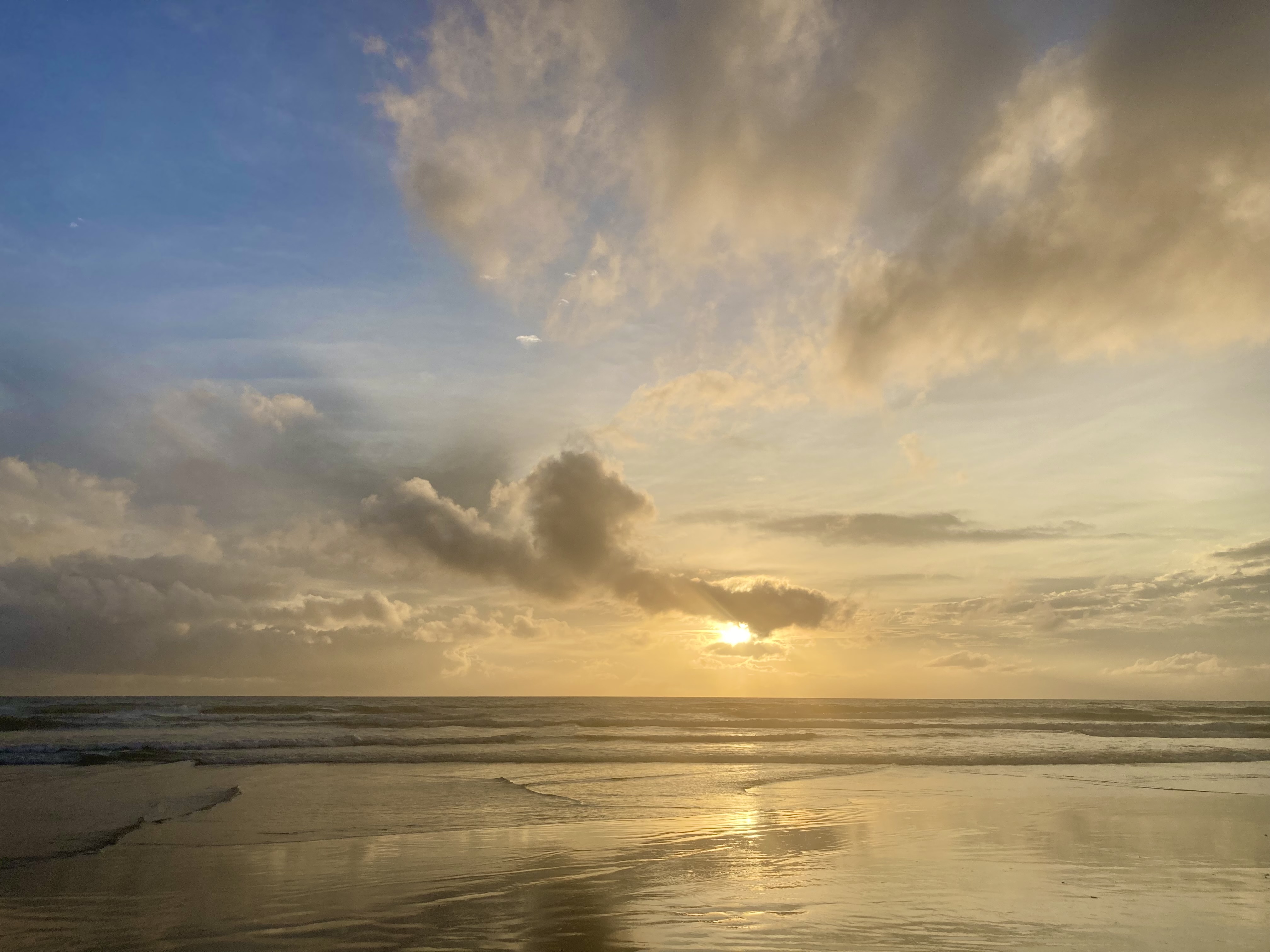 通常営業に戻りました