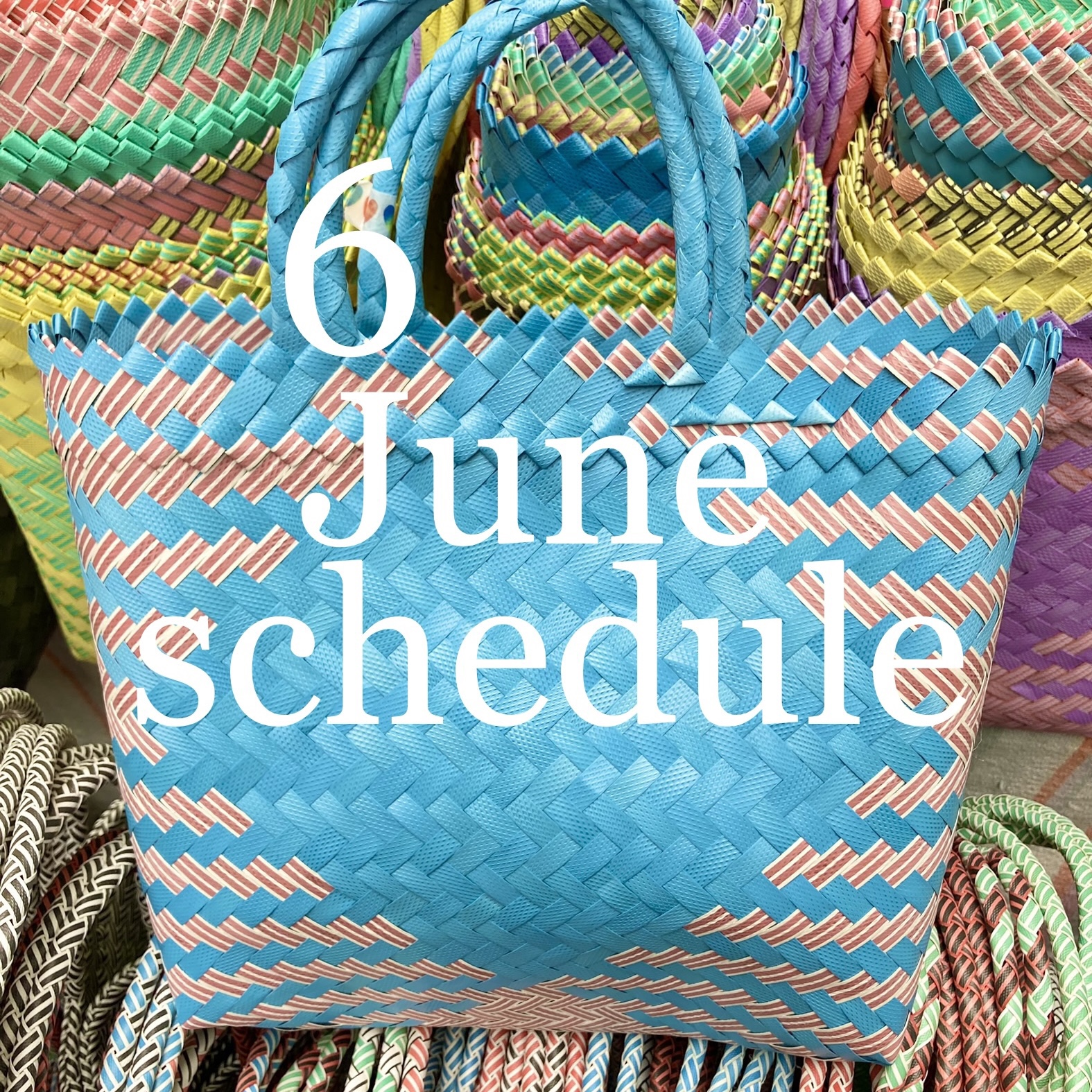 🎪6月出店スケジュールのお知らせです🎪