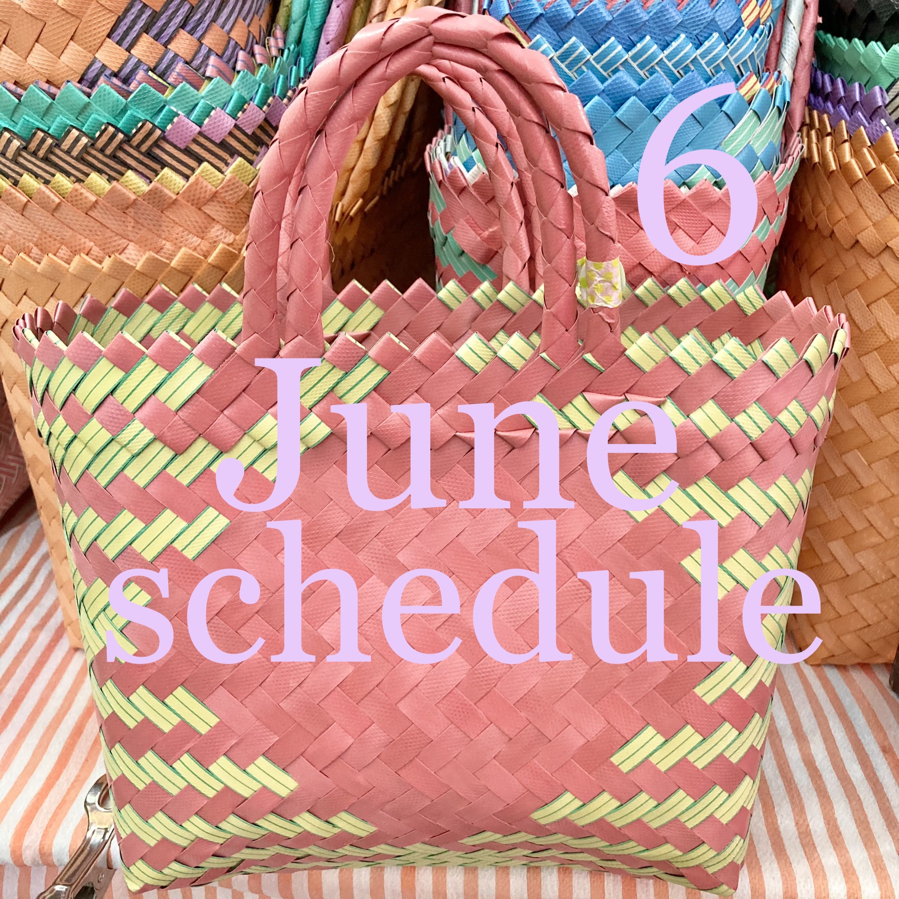 6月出店スケジュールのお知らせです💜