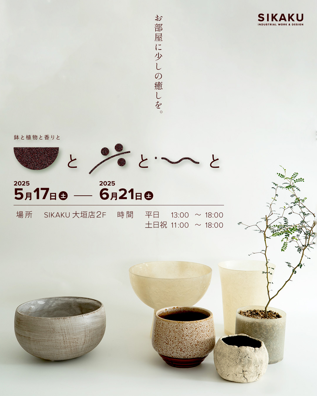 【2025.5/17〜6/21まで】植物フェア開催