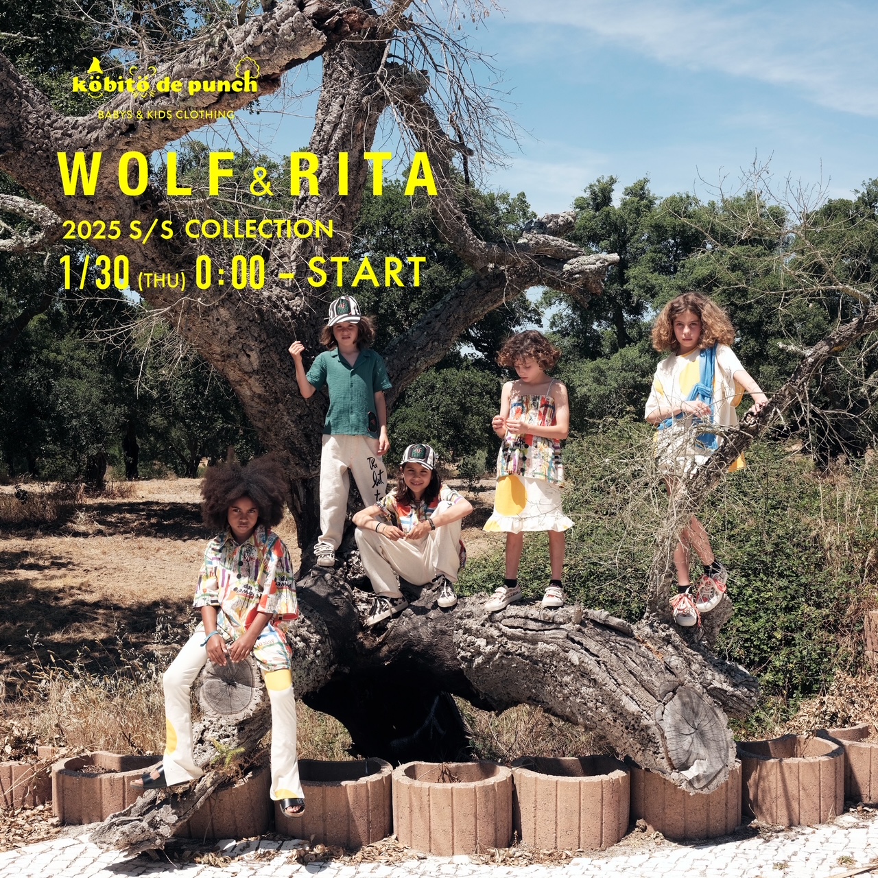 1/30(木)0:00～25SS【WOLF&RITA】販売START！！