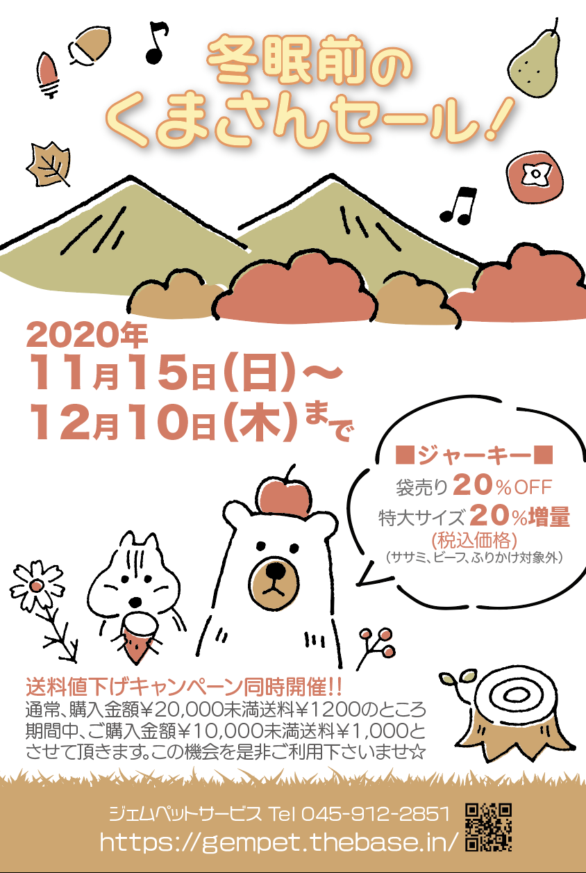 くまさんセール12月10日まで開催中！