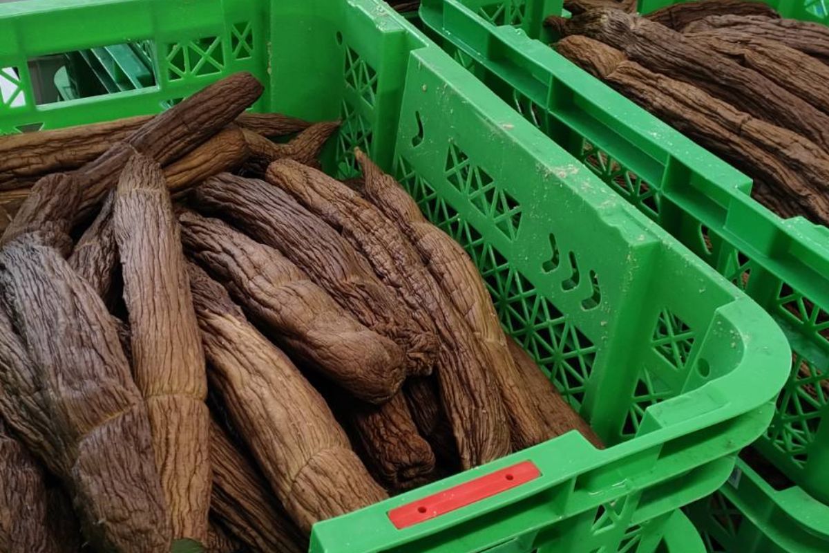 2026年のいぶりがっこ、販売開始します！