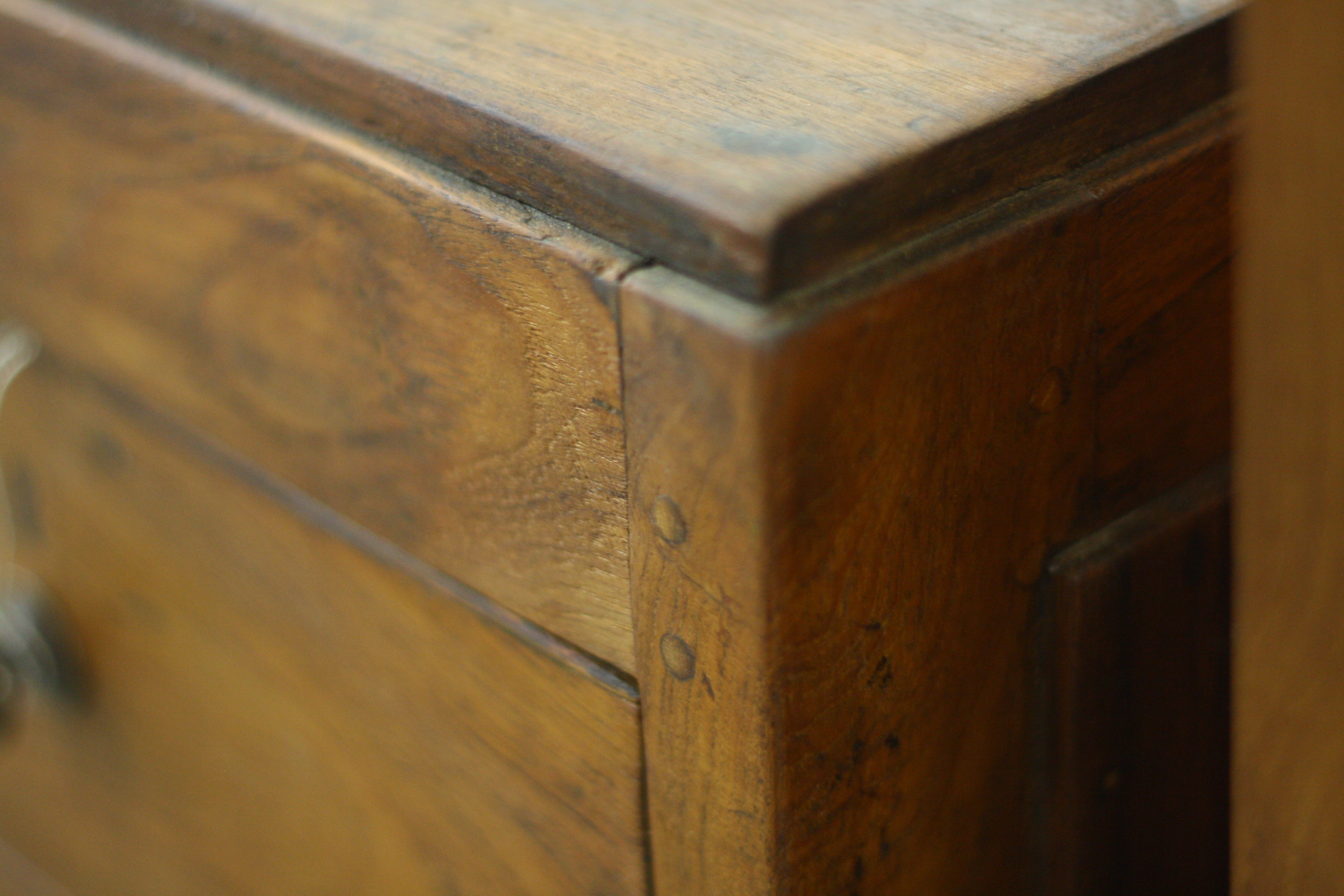 運営再開後の近況と、今後のお知らせ（新生活・引越しシーズンに向けて）