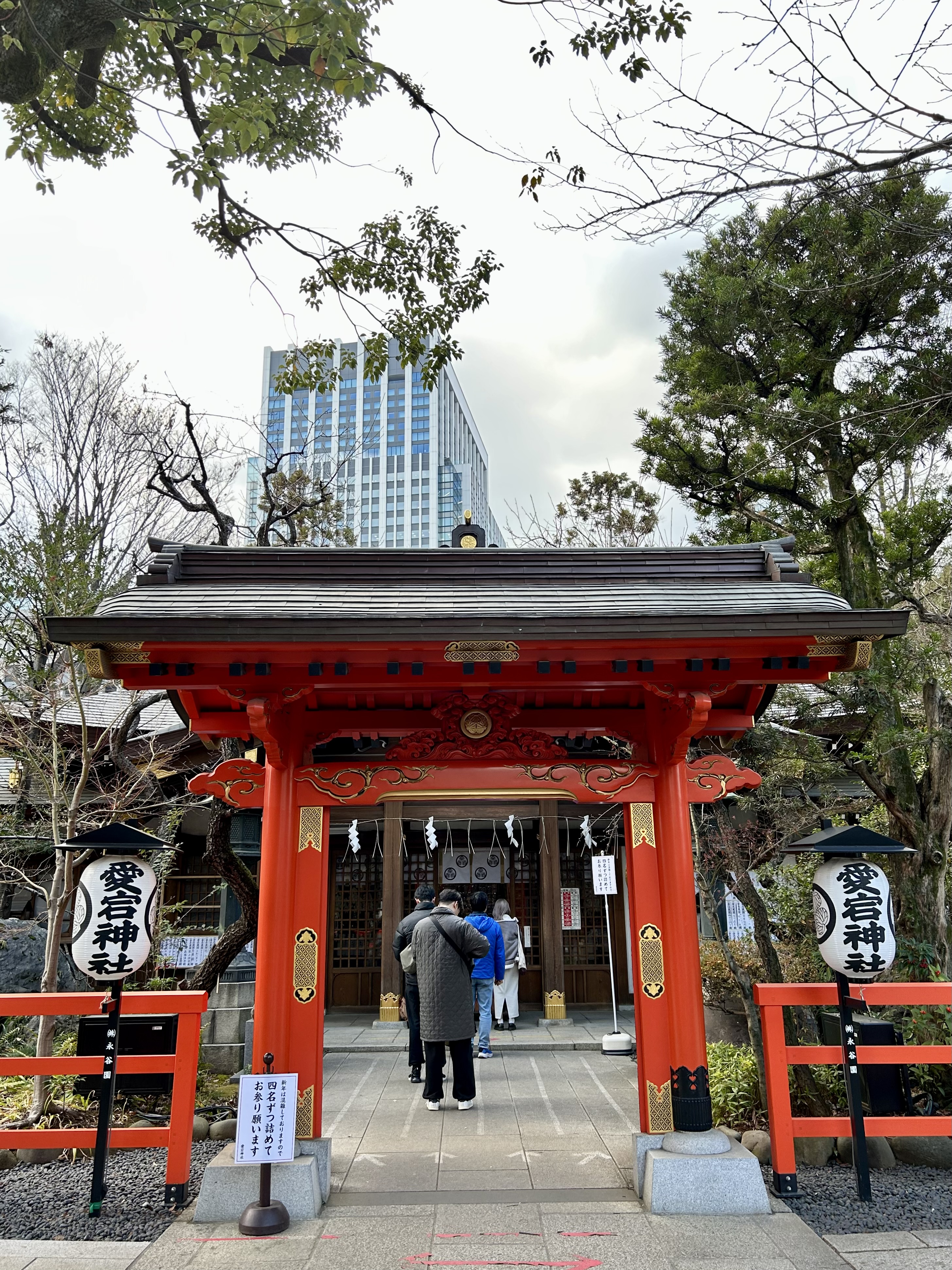 電話占い始めます 📞♪ （ ＆ 愛宕神社の猫神様 🐈 ）
