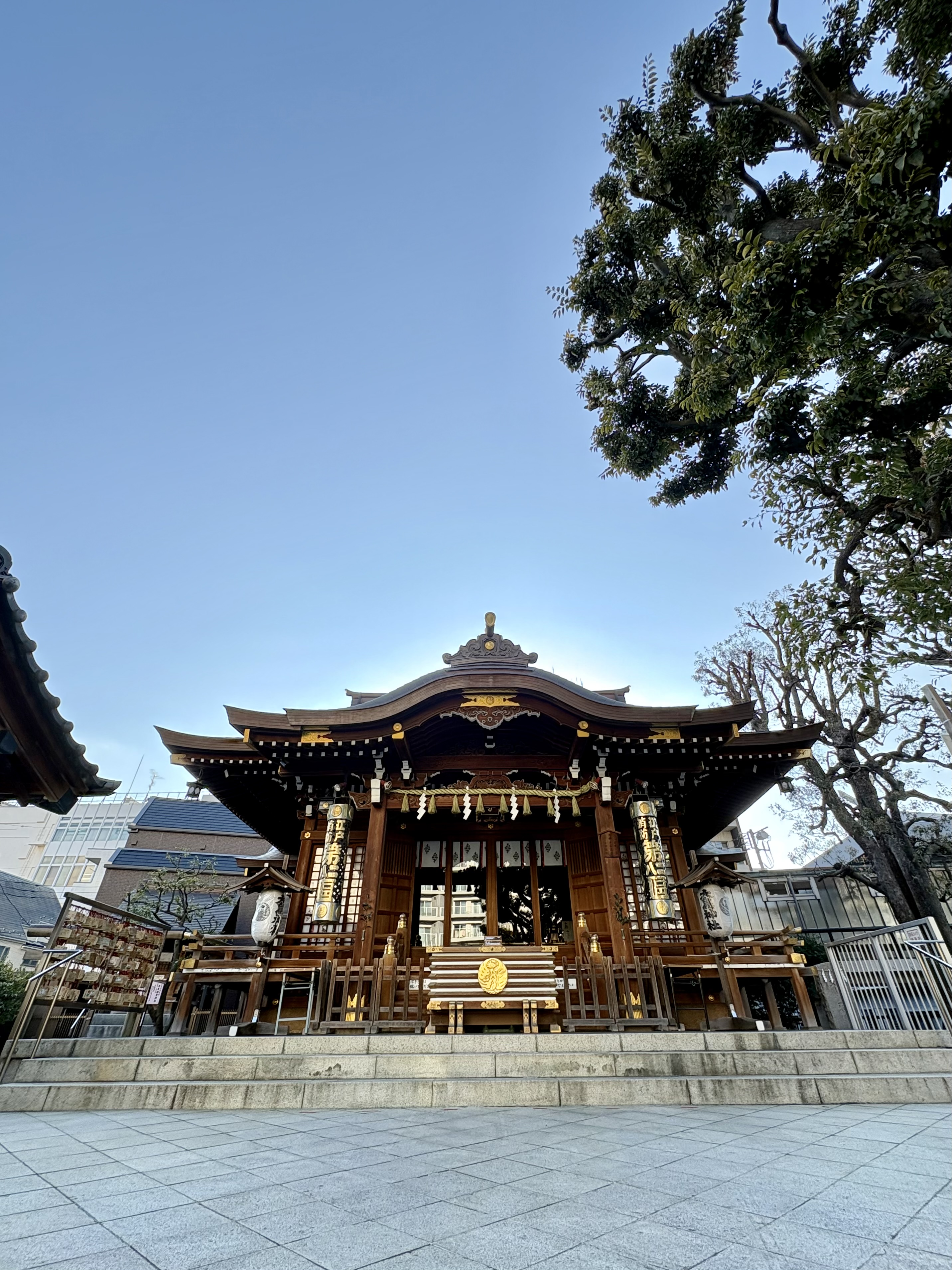 丙午（火）と 一白水星（水）の 今年お薦め？ ⛩️