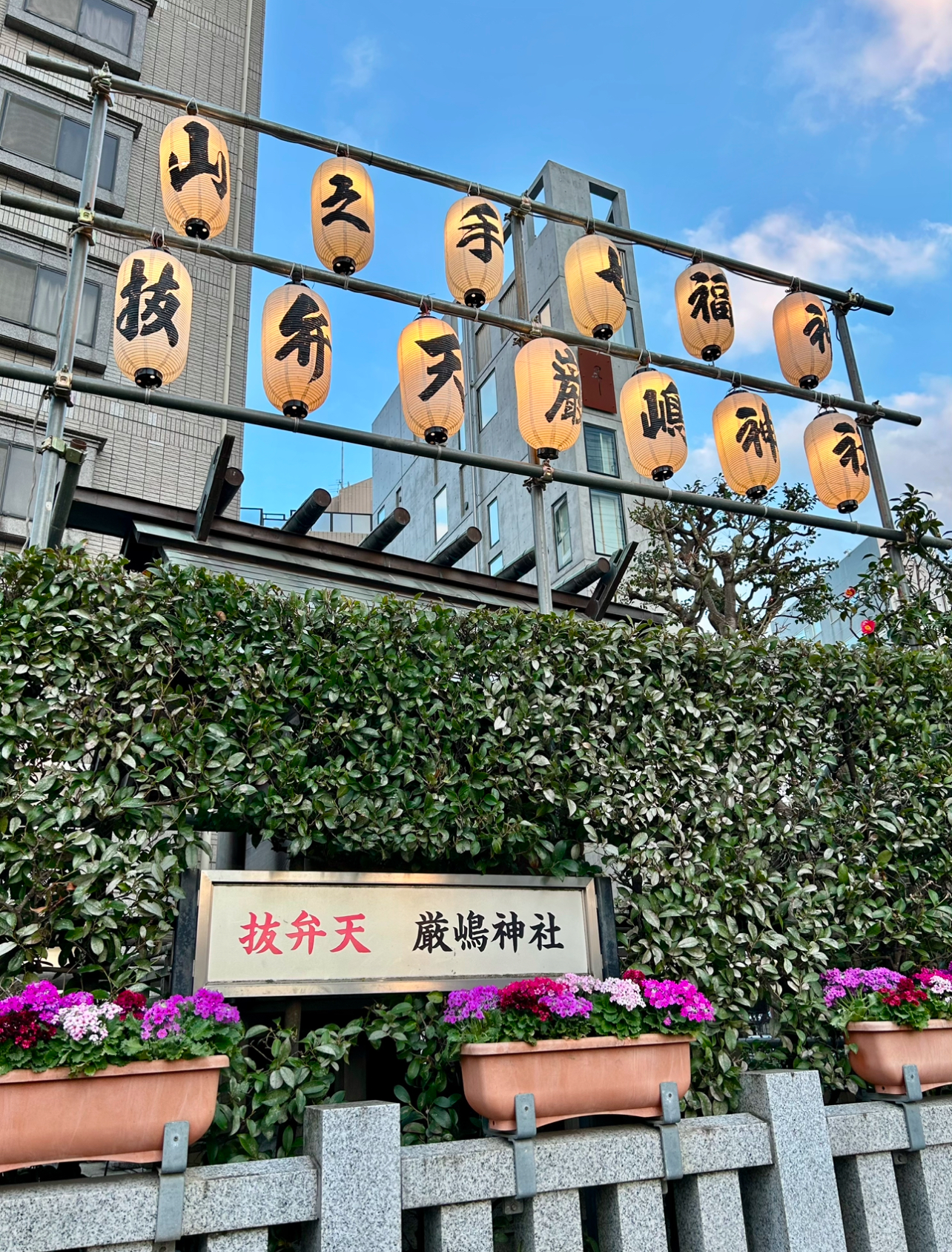 巳年の 巳の日 🐍