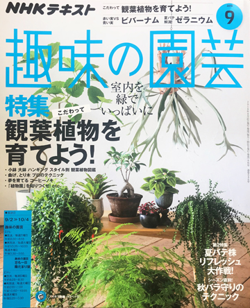 NHK「趣味の園芸テキスト」2018年9月号の観葉植物特集で店主の白田が誌上講師を担当しました